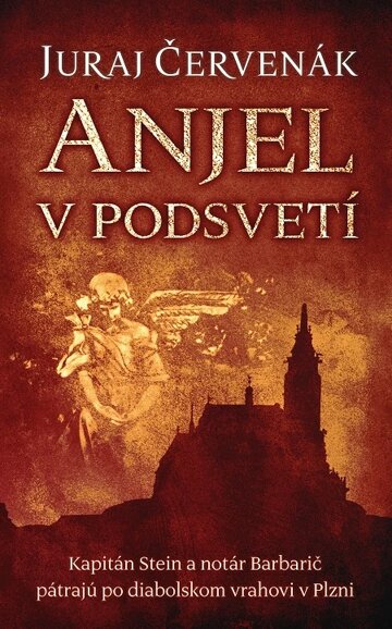 Obálka knihy Anjel v podsvetí