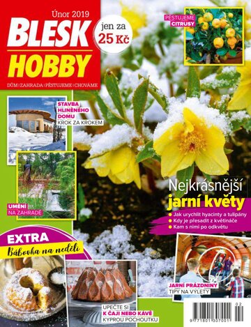 Obálka e-magazínu Blesk Hobby 2/2019