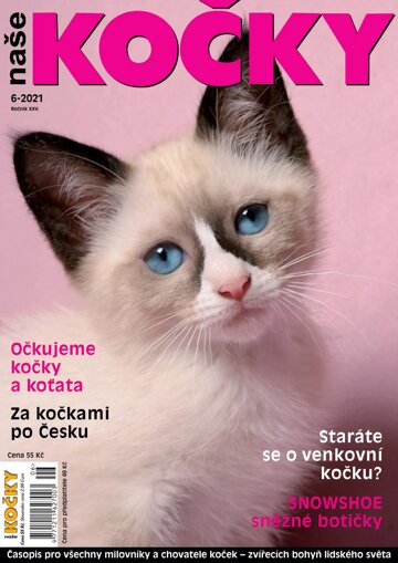 Obálka e-magazínu Naše kočky 6/2021