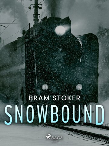Obálka knihy Snowbound