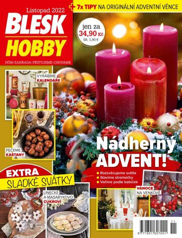 Obálka e-magazínu Blesk Hobby 11/2022