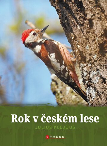 Obálka knihy Rok v českém lese