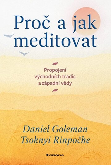 Obálka knihy Proč a jak meditovat