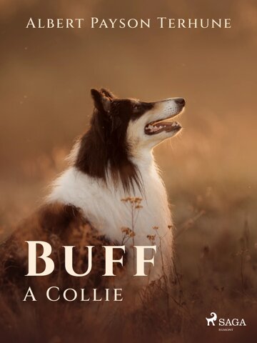 Obálka knihy Buff: A Collie