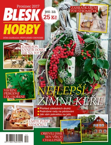 Obálka e-magazínu Blesk Hobby 12/2017