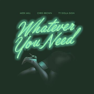Obálka uvítací melodie Whatever You Need (feat. Chris Brown & Ty Dolla $ign)