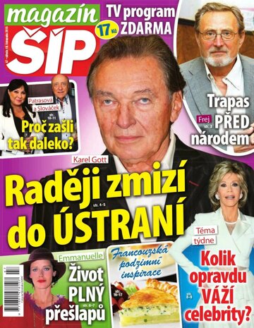 Obálka e-magazínu Magazín Šíp 47/2015