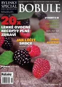 Obálka e-magazínu Speciál bylinky 6/13 bobuloviny