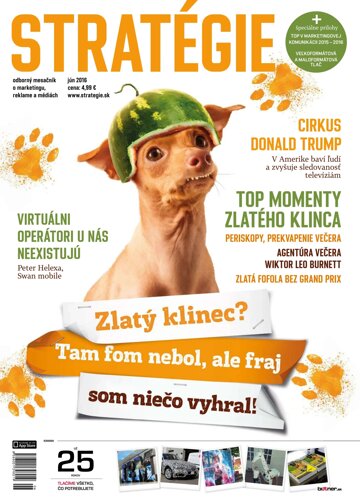 Obálka e-magazínu Stratégie 6/2016