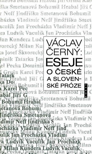 Obálka knihy Eseje o české a slovenské próze