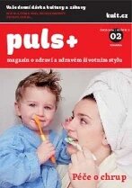 Obálka e-magazínu Puls 02/2014