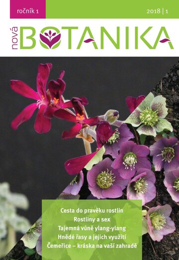 Obálka knihy Nová Botanika