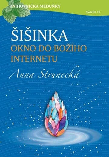 Obálka knihy Šišinka, okno do božího internetu