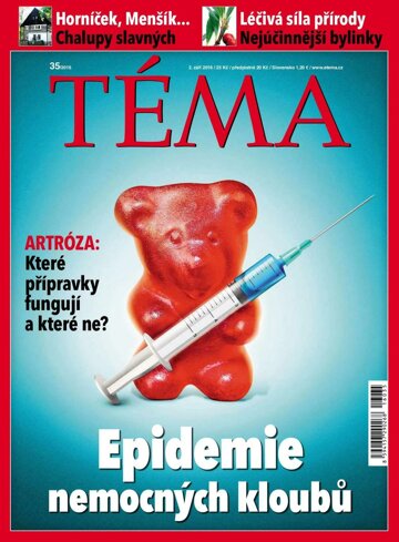 Obálka e-magazínu TÉMA 2.9.2016