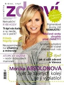Obálka e-magazínu Zdraví 12/2013