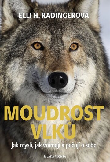 Obálka knihy Moudrost vlků