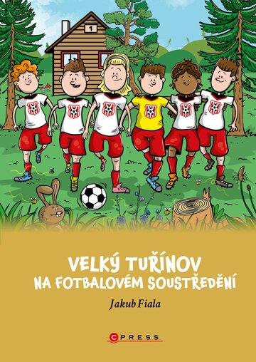 Obálka knihy Velký Tuřínov na fotbalovém soustředění