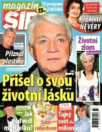 Obálka e-magazínu Magazín Šíp 33/2013