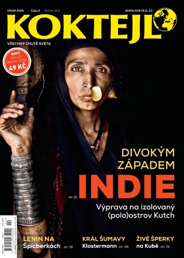 Obálka e-magazínu Koktejl 2/2015