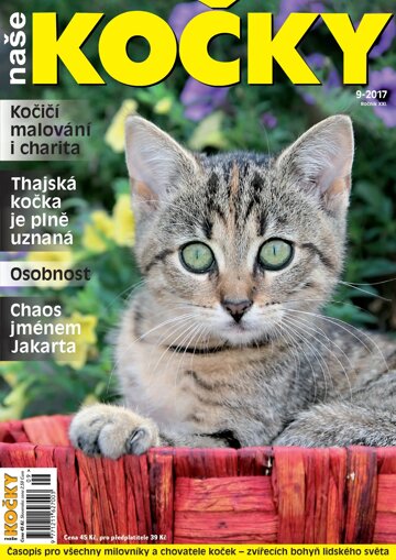 Obálka e-magazínu Naše kočky 9/2017