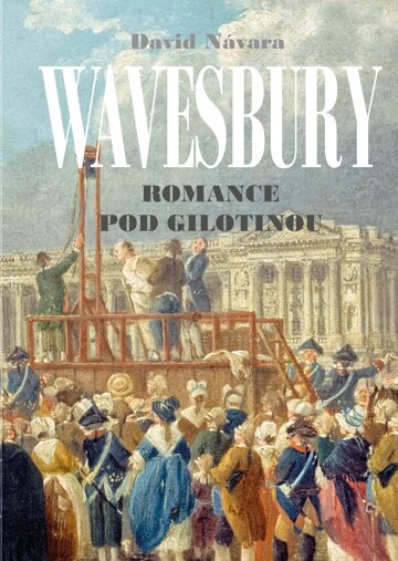 Obálka knihy Wavesbury