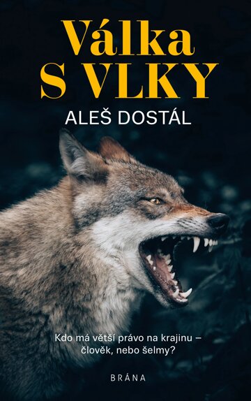Obálka knihy Válka s vlky