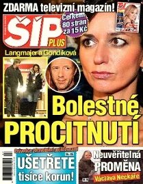 Obálka e-magazínu Magazín Šíp 7/2013