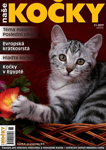 Obálka e-magazínu Naše kočky 11/2017