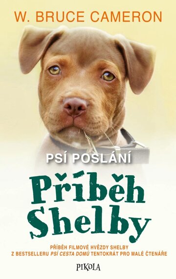 Obálka knihy Příběh Shelby : příběh filmové hvězdy Shelby z bestselleru Psí cesta domů tentokrát pro malé čtenáře