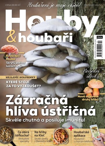 Obálka e-magazínu Houby a houbaři 12/2017