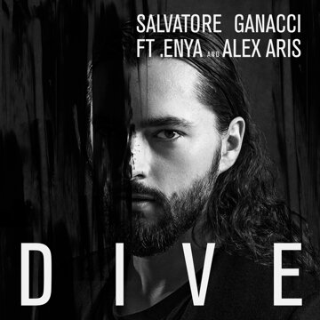 Obálka uvítací melodie Dive (feat. Enya and Alex Aris)
