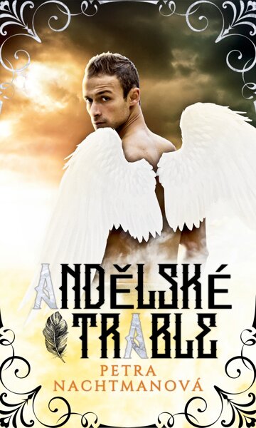 Obálka knihy Andělské trable