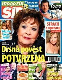 Obálka e-magazínu Magazín Šíp 24/2013