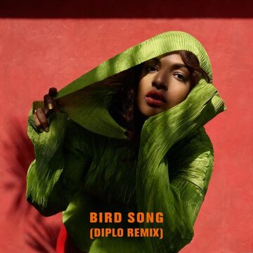 Obálka uvítací melodie Bird Song (Diplo Remix)