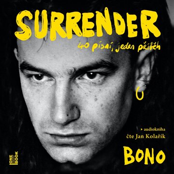 Obálka audioknihy Surrender: 40 písní, jeden příběh
