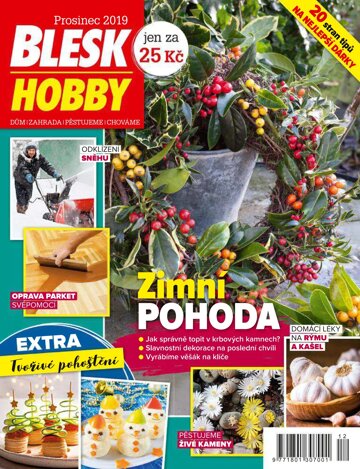 Obálka e-magazínu Blesk Hobby 12/2019