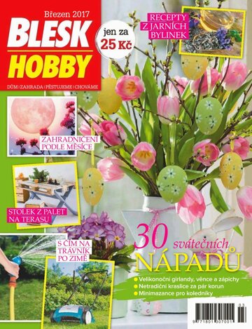 Obálka e-magazínu Blesk Hobby 3/2017