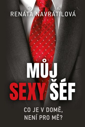 Obálka knihy Můj sexy šéf