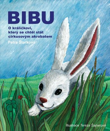 Obálka knihy Bibu