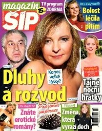 Obálka e-magazínu Magazín Šíp 43/2013