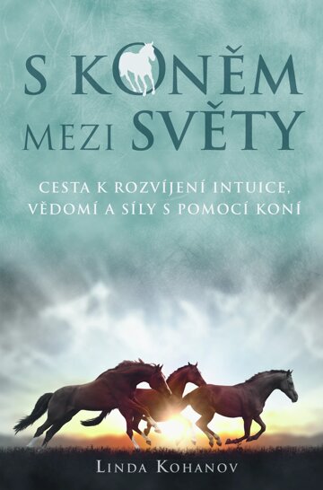 Obálka knihy S koněm mezi světy