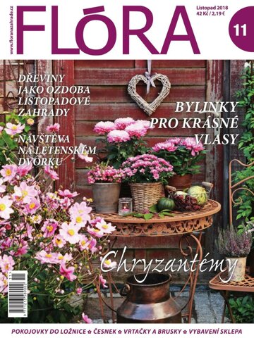 Obálka e-magazínu Flora 11-2018
