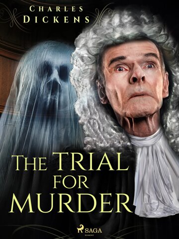 Obálka knihy The Trial for Murder