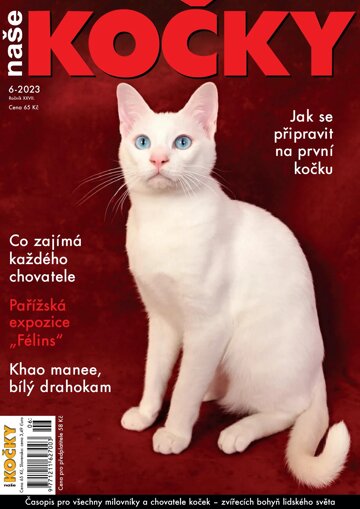 Obálka e-magazínu Naše kočky 6/2023