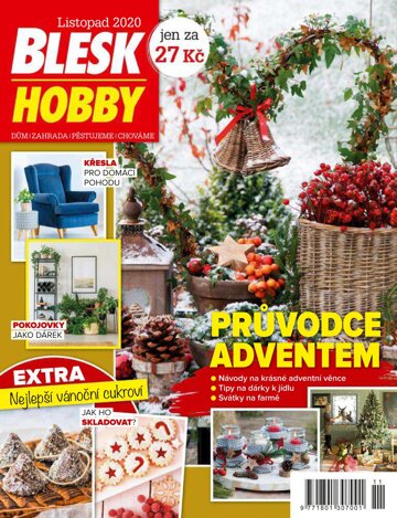 Obálka e-magazínu Blesk Hobby 11/2020